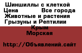 Шиншиллы с клеткой › Цена ­ 8 000 - Все города Животные и растения » Грызуны и Рептилии   . Крым,Морская